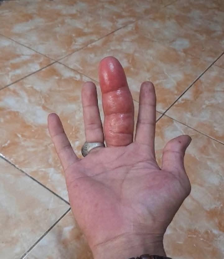 ｋａｍａ tweet media