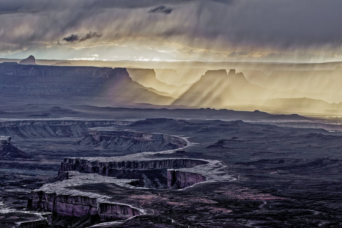 Pat Dooley tweet media