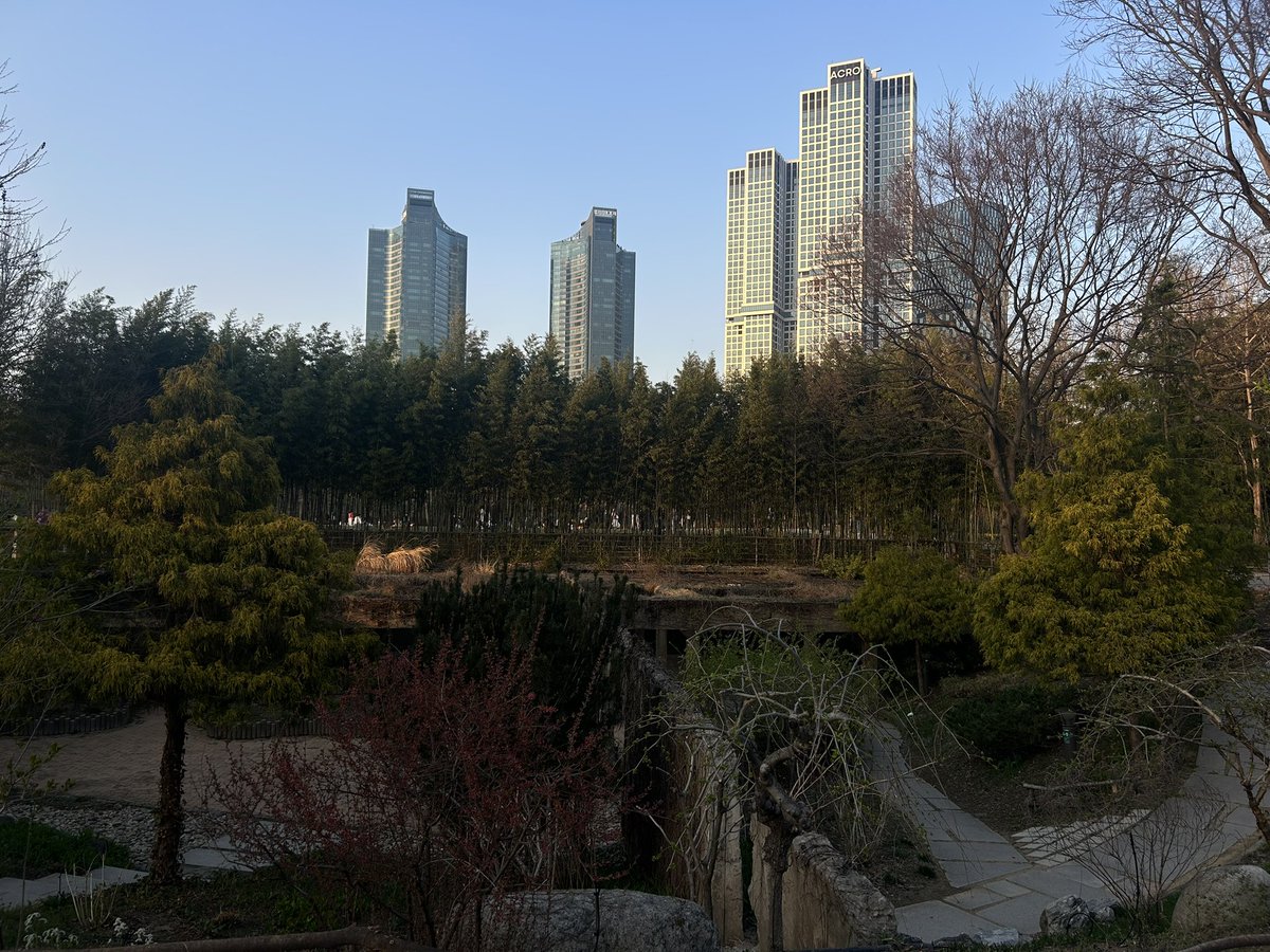 Lv. 4000 tweet media