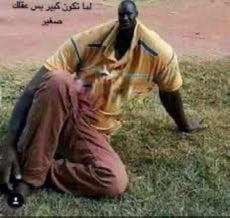 🐈‍⬛ tweet media