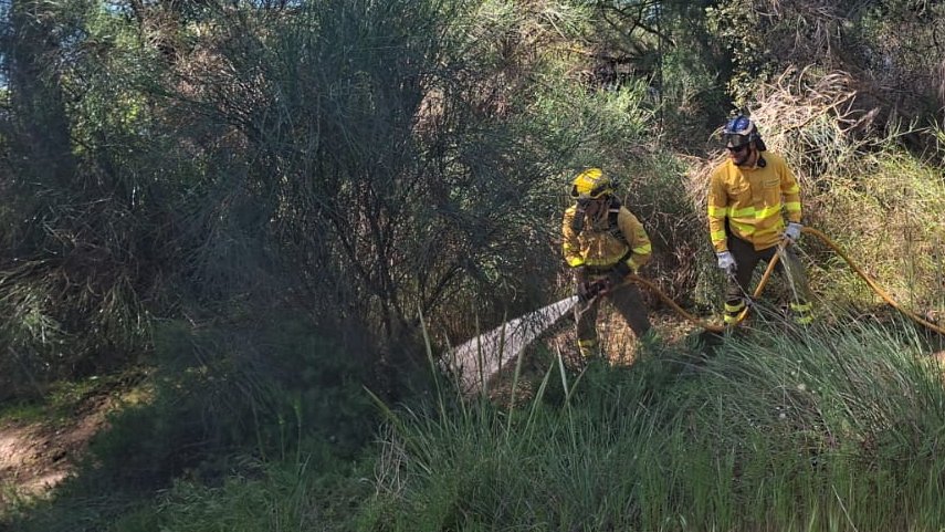 EMA INFOCA tweet media