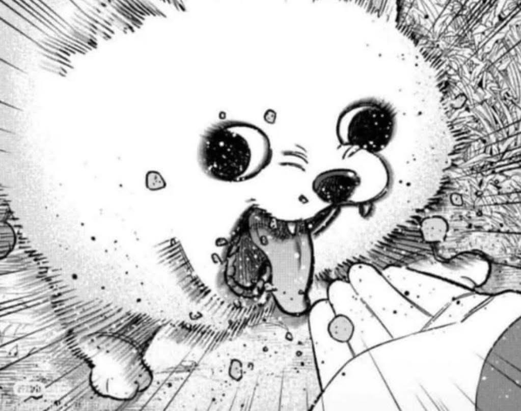 達 ▪ ADa 4.0 tweet media