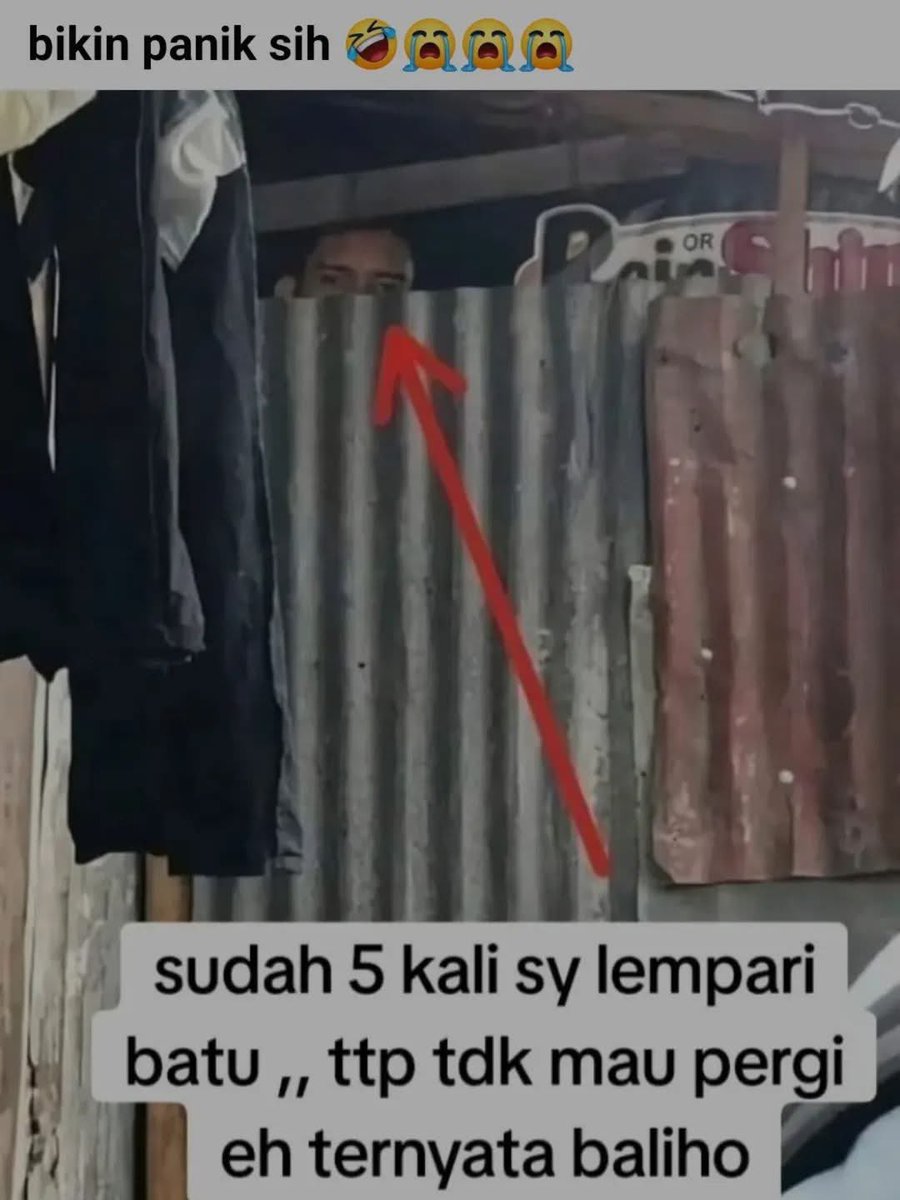 sosmed keras tweet media