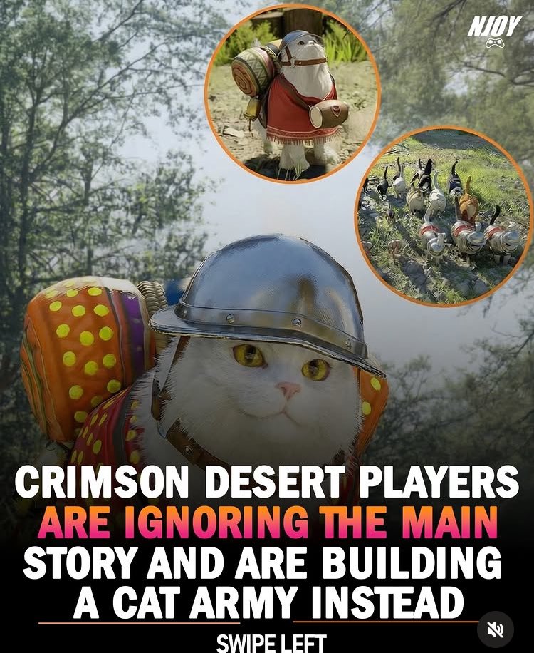 CATS!!! 🥰 #gaming_news