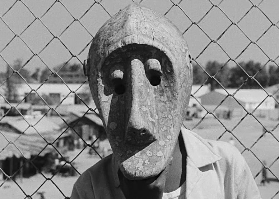 David Ninov tweet media