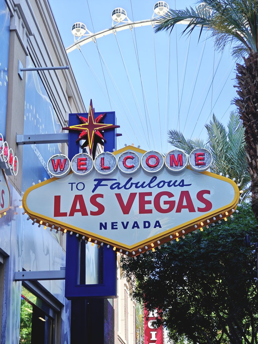 OnePlus_USA's tweet image. Where the night never ends 🪩
#ShotonOnePlus #LasVegas