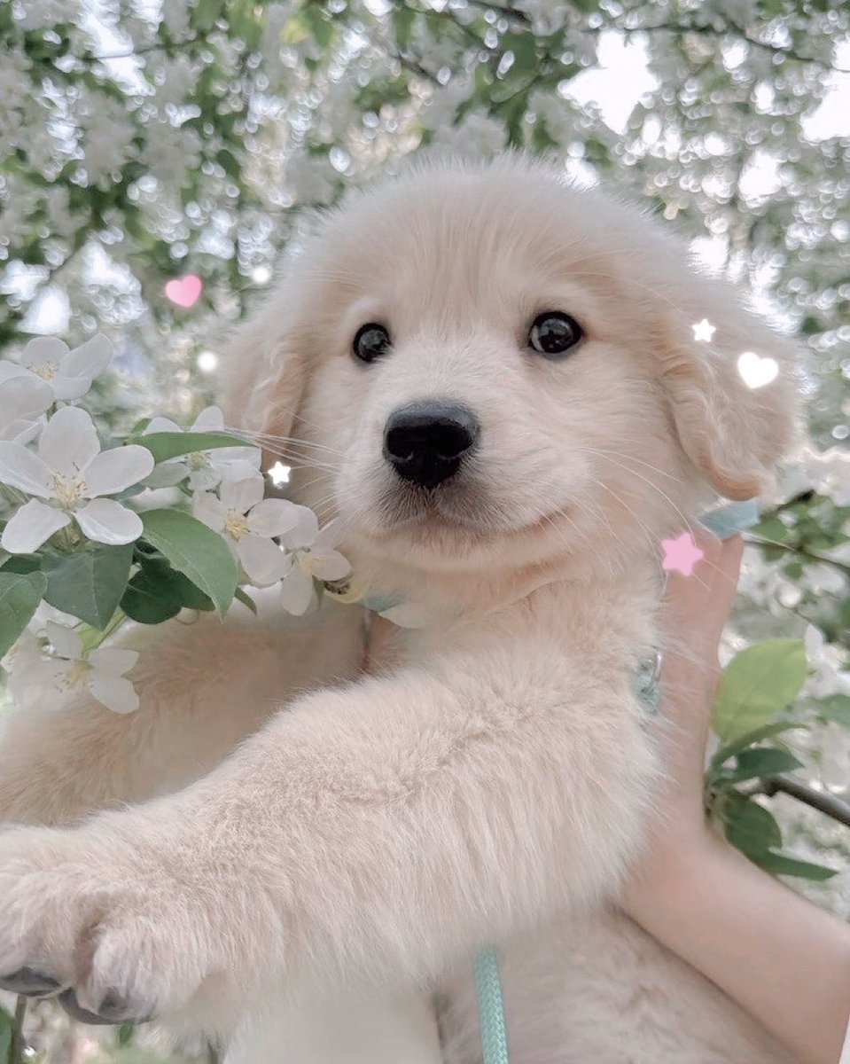 𝐵𝓃𓈒 𓈒 𓈒🐰🫖 tweet media