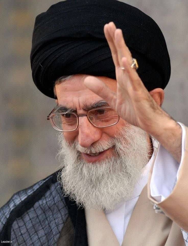 nsmohammadi tweet media