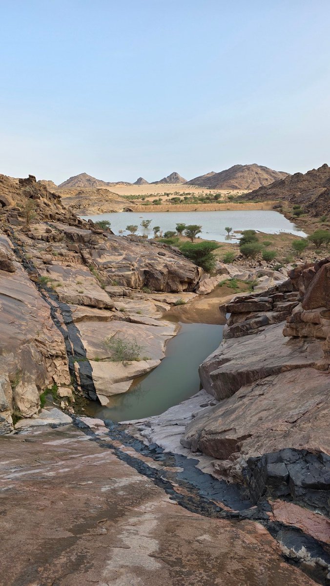 محمد بن عبدالله الشاوي tweet media