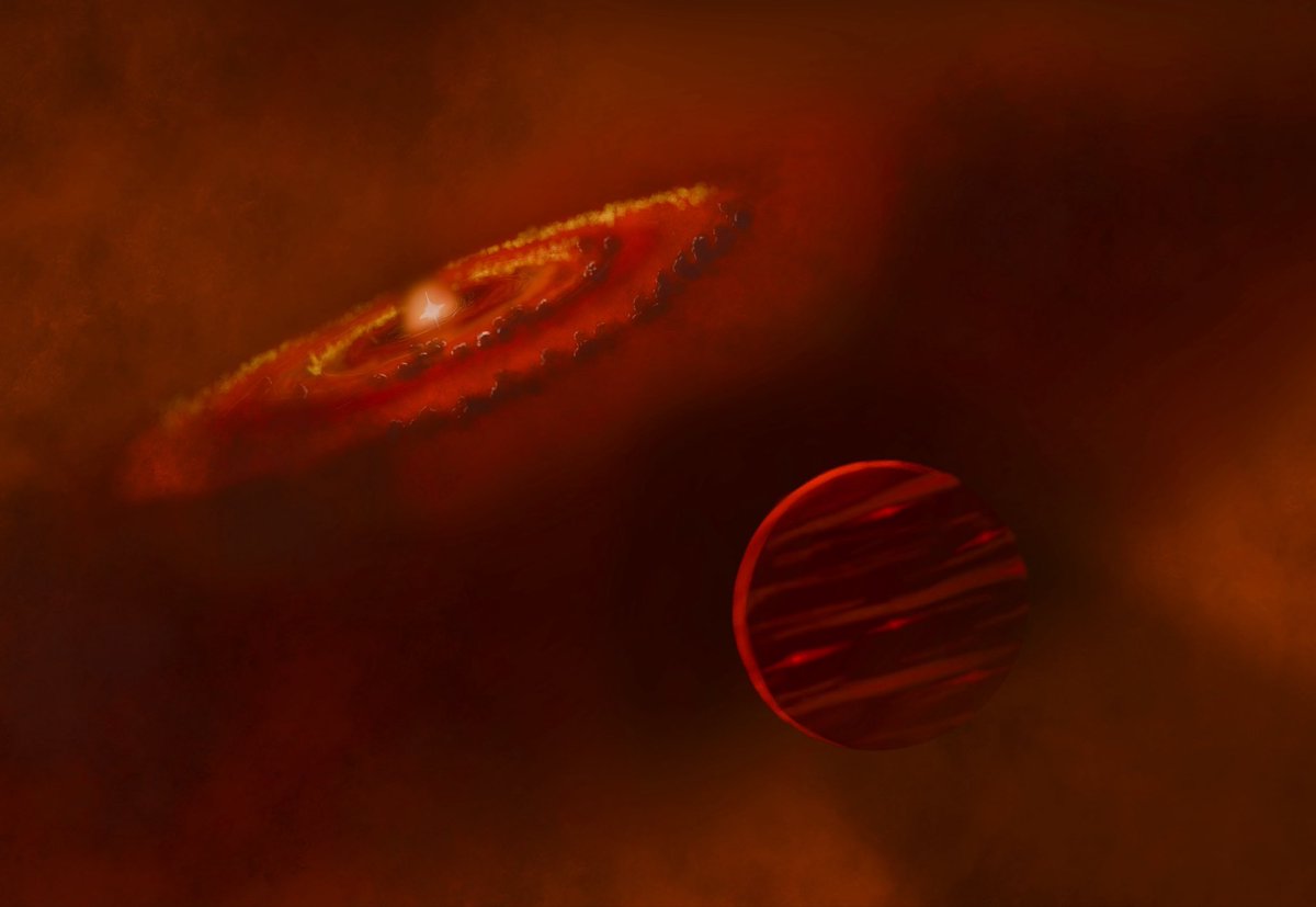 Arkady’s fault 🇦🇺🏳️‍🌈🇵🇸 tweet media