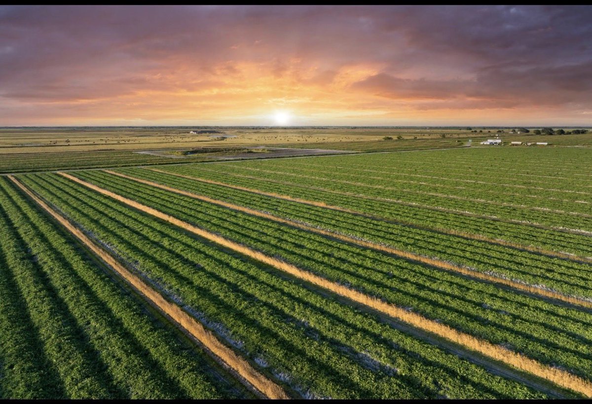 FAHAD ALJURAIB tweet media