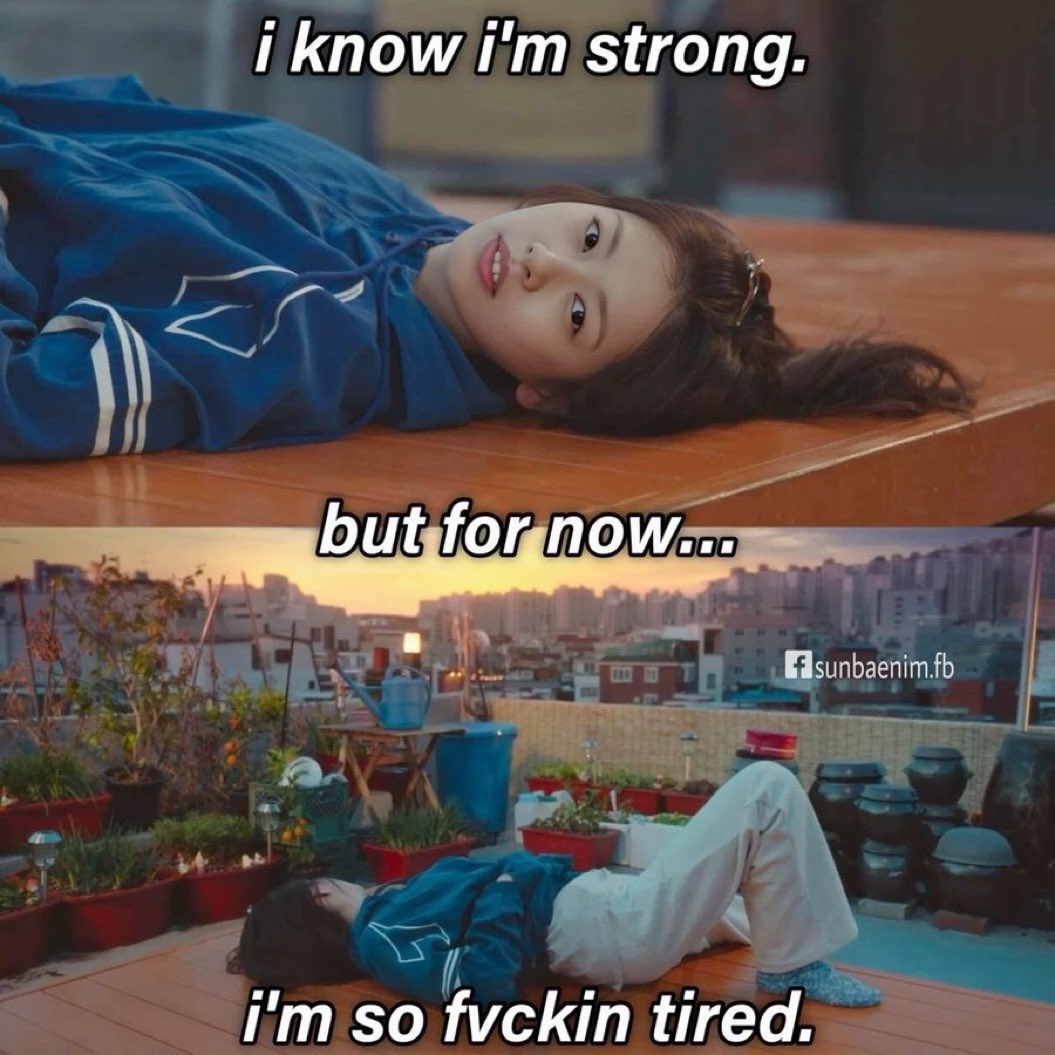 🐰 🌼 tweet media