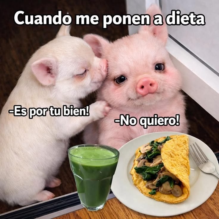 Pkittass tweet media