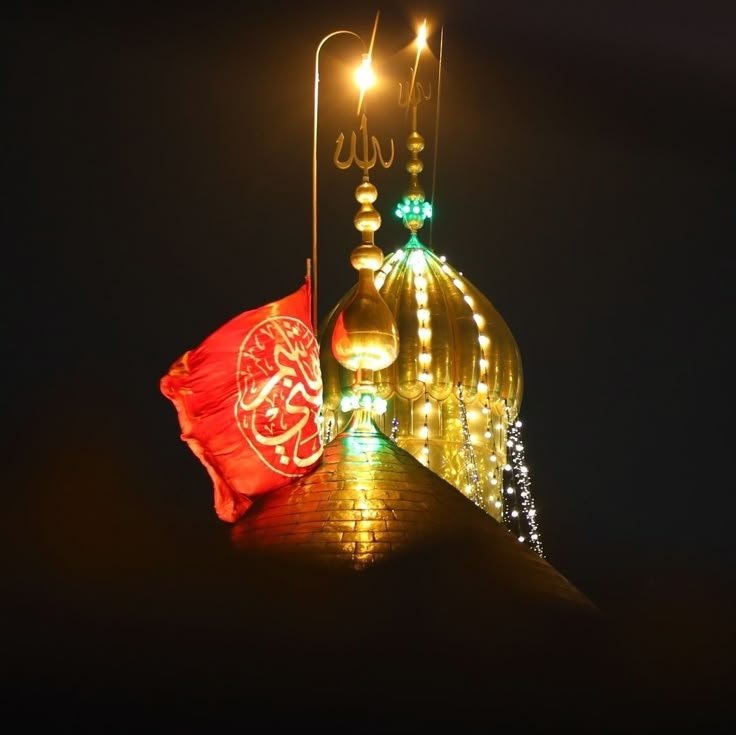 م.ن.حیدر tweet media
