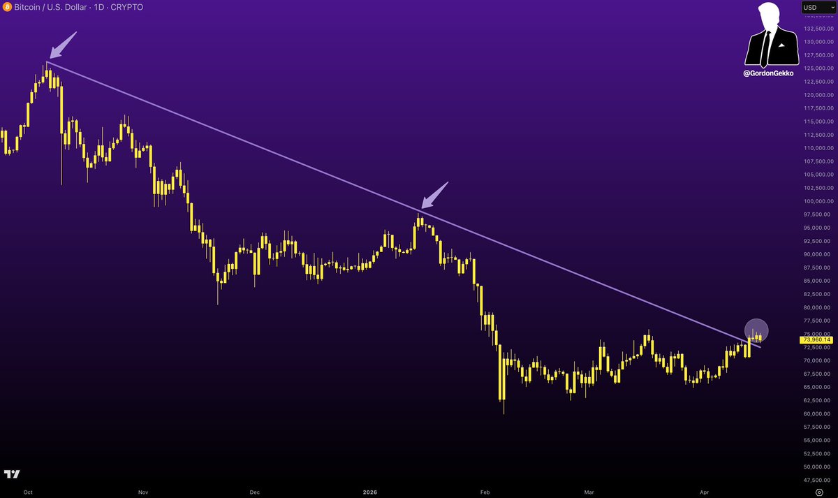 Gordon 🐂 tweet media