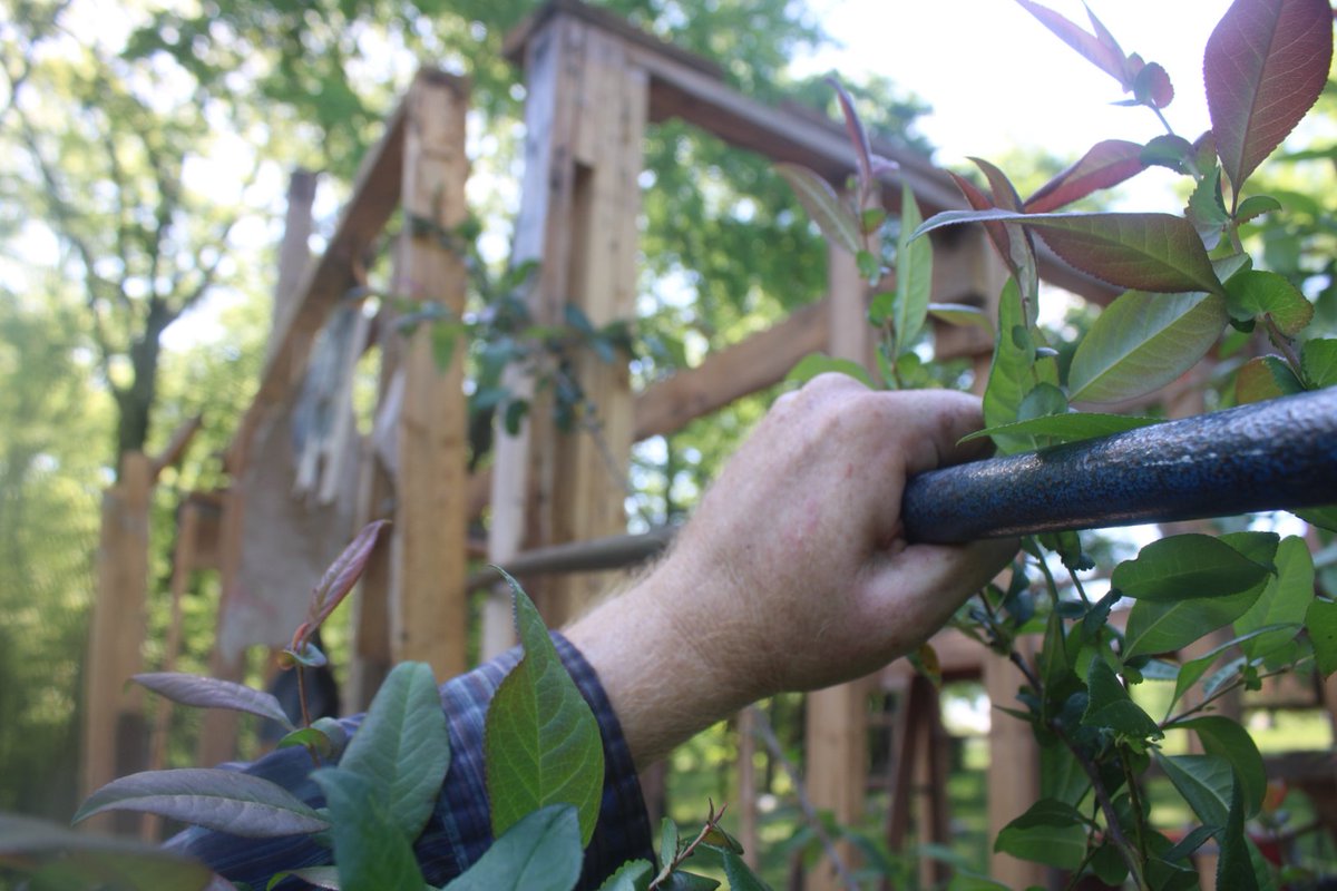 docsanderson's tweet image. #Scientists #Carpenter #RestorationProject #Wolves #Mates @NatGeo @HeartsofHeroes_ @Nature
@Ginger_Zee Lizzie Mags G it was tense, was worried the entire shed would come crashing down ON ME. but i got the back wall removed. 2nd #Coffee then clean up the wood. Mwah Sweaty&amp;amp;Sexy Lee