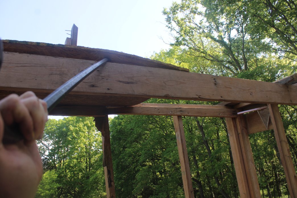 docsanderson's tweet image. #Scientists #Carpenter #RestorationProject #Wolves #Mates @NatGeo @HeartsofHeroes_ @Nature
@Ginger_Zee Lizzie Mags G it was tense, was worried the entire shed would come crashing down ON ME. but i got the back wall removed. 2nd #Coffee then clean up the wood. Mwah Sweaty&amp;amp;Sexy Lee