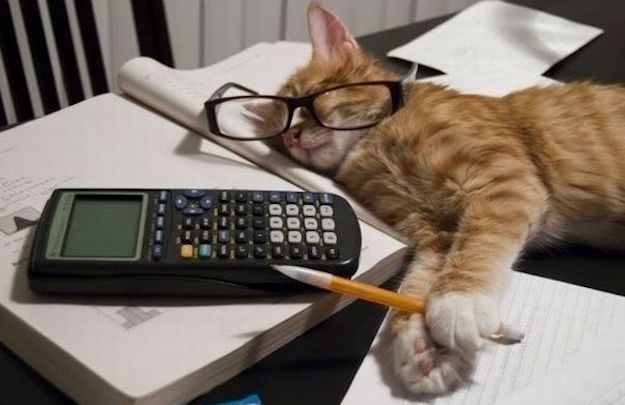 xndmnsn's tweet image. ⠀⠀₍ᐢ..ᐢ₎ ⠀que cosas SI llevar a la uni 
⠀⠀⠀⠀( #studytwt #studytwtesp )