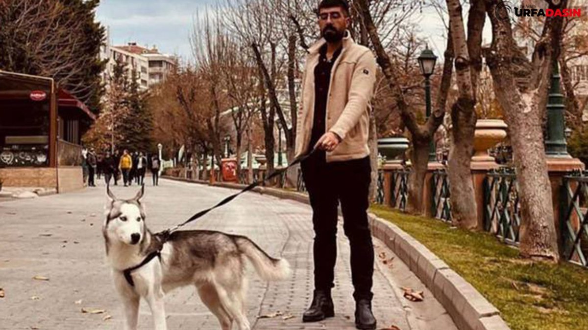 Güvenli Sokaklar tweet media