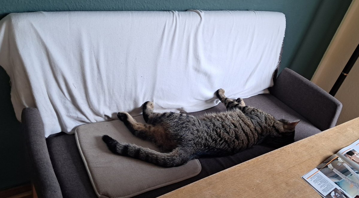 MaikMiau tweet media