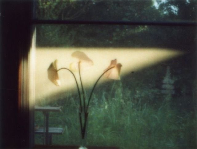 ੈ✩‧₊˚ lucy ⋆·˚ ༘ * tweet media