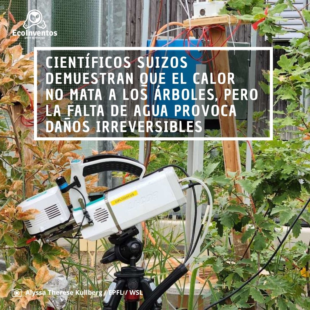 EcoInventos tweet media