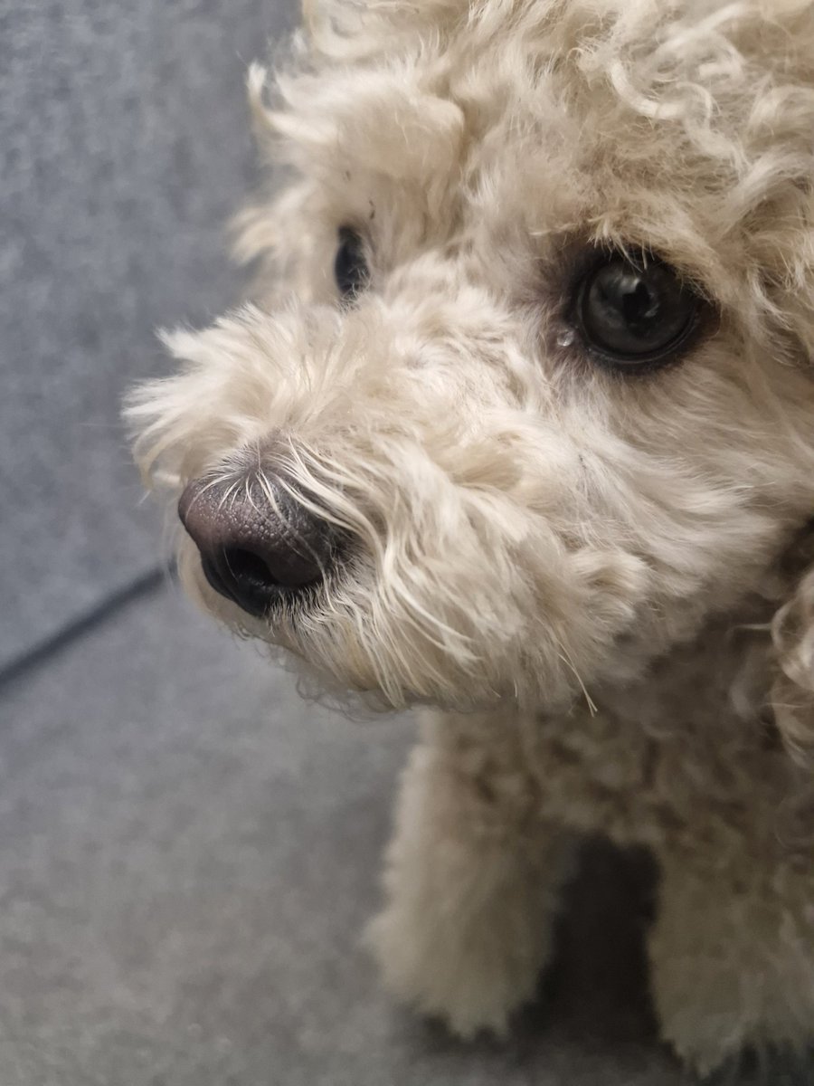 감자탕먹고싶다모뀨 tweet media