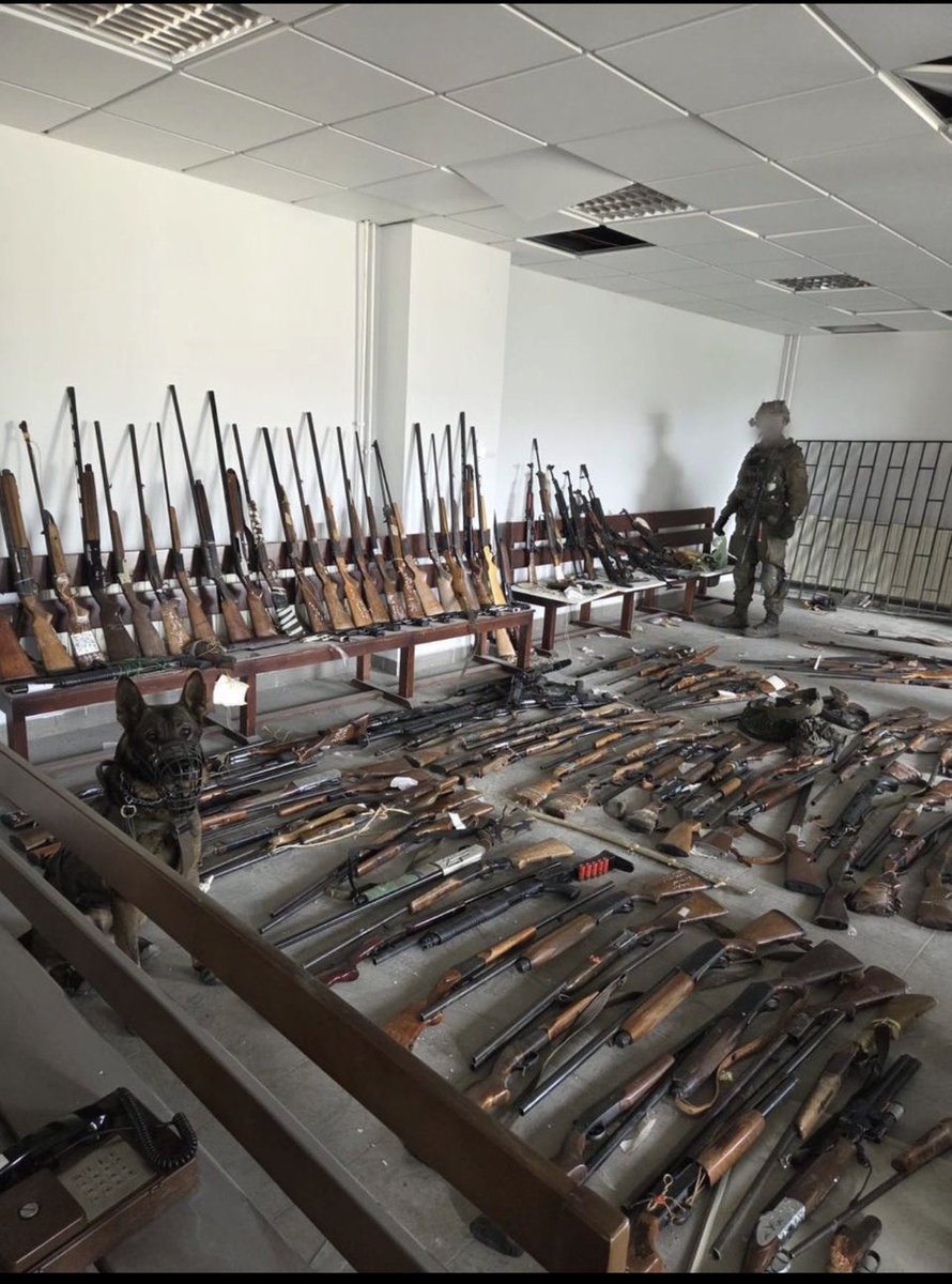 Michal/Michele -מיכל✡️ 🟦 tweet media