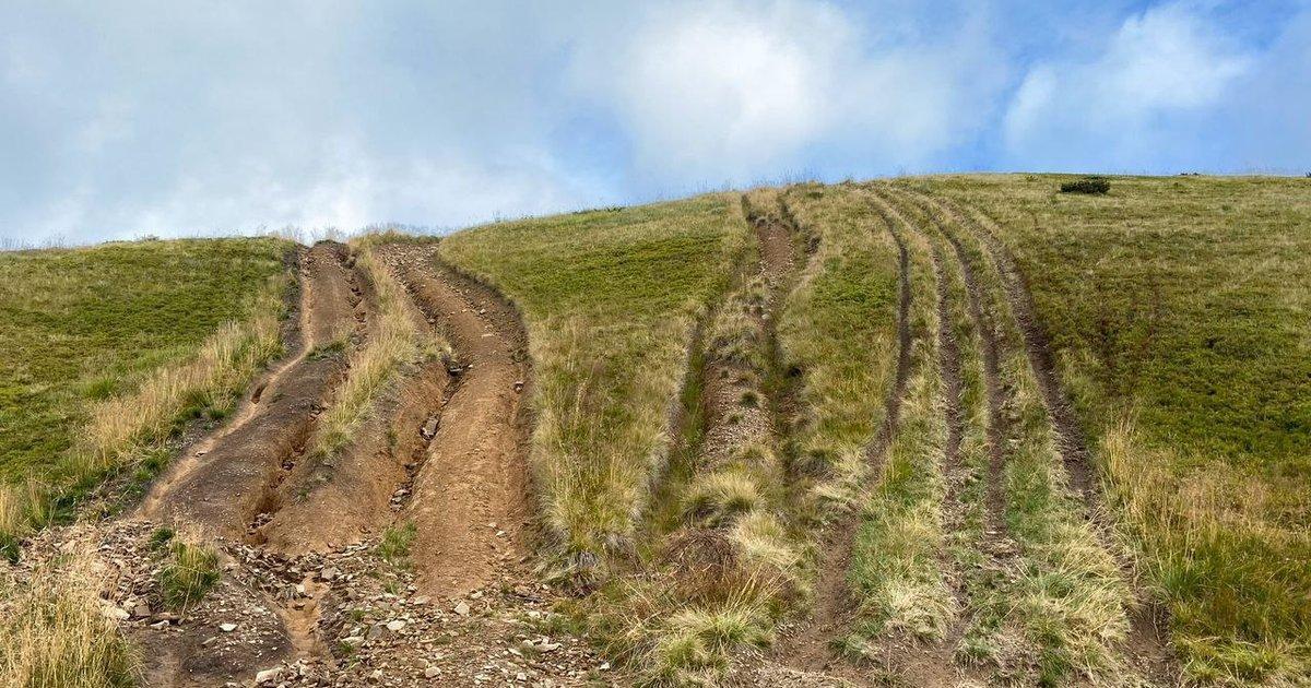 Джипінг на полонинах та хребтах Карпат призводить до незворотної деградації ґрунтів. WWF-Україна закликає зупинити нищення заповідних територій. ebx.sh/bklobc