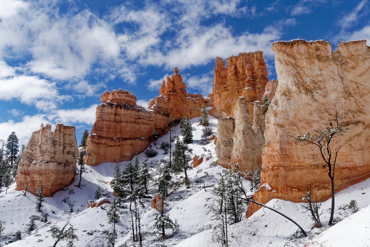 Pat Dooley tweet media