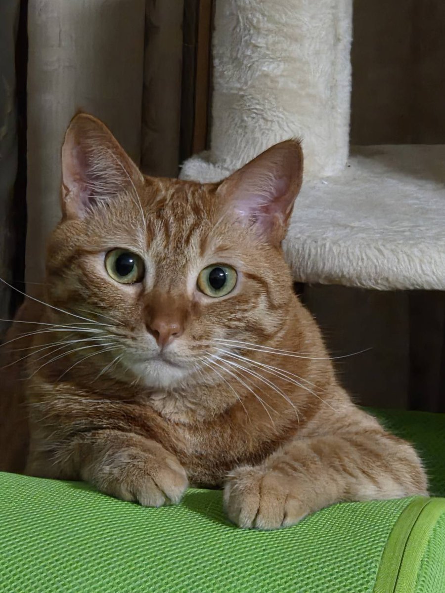 官兵衛@壁を取っ払うのが大好きな党支持 tweet media