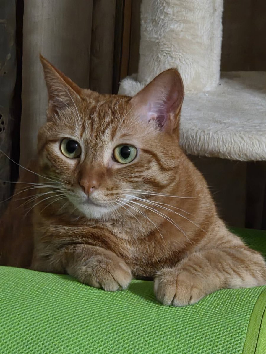 官兵衛@壁を取っ払うのが大好きな党支持 tweet media