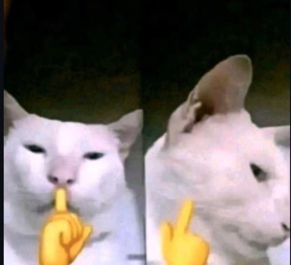 CARATSTALK💎 tweet media