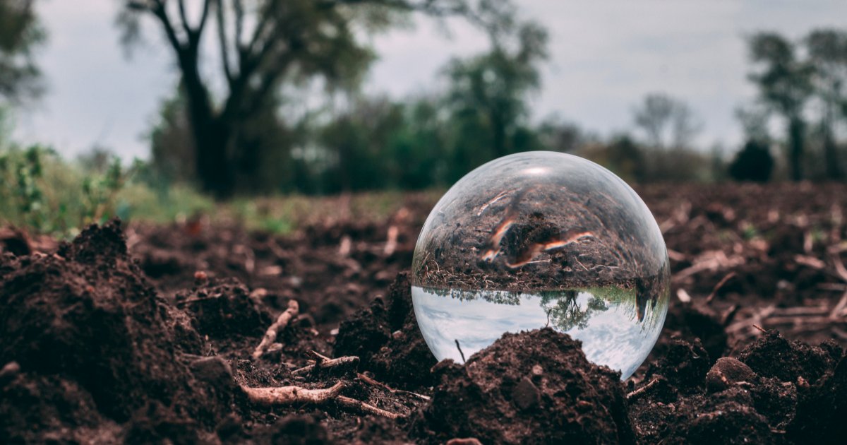 MyLand Agriculture, A Soil Health Company tweet media