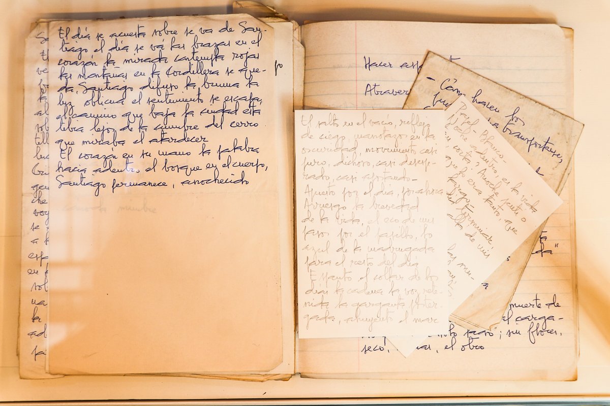 Biblioteca Nacional tweet media