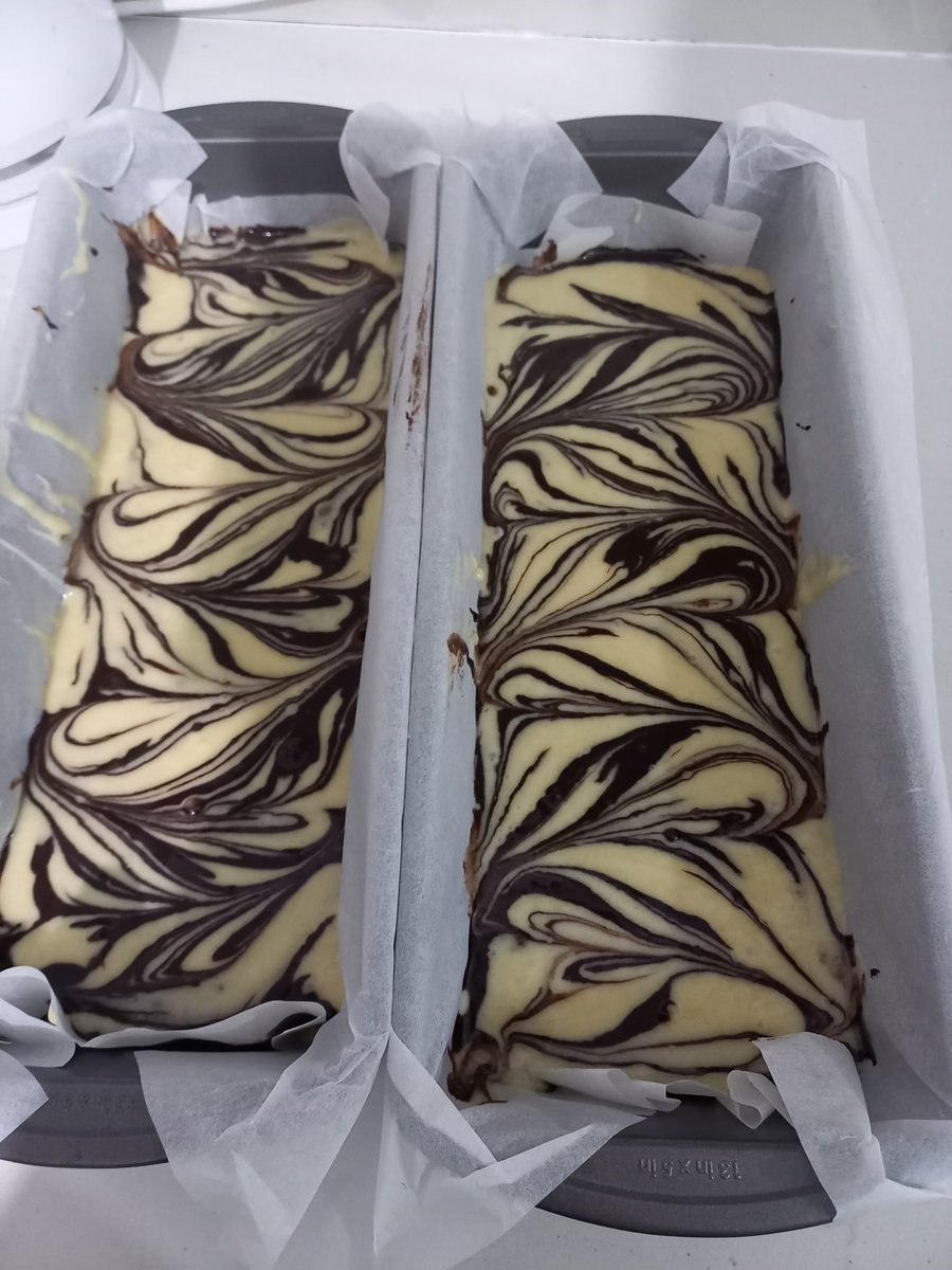 שלומציון tweet media