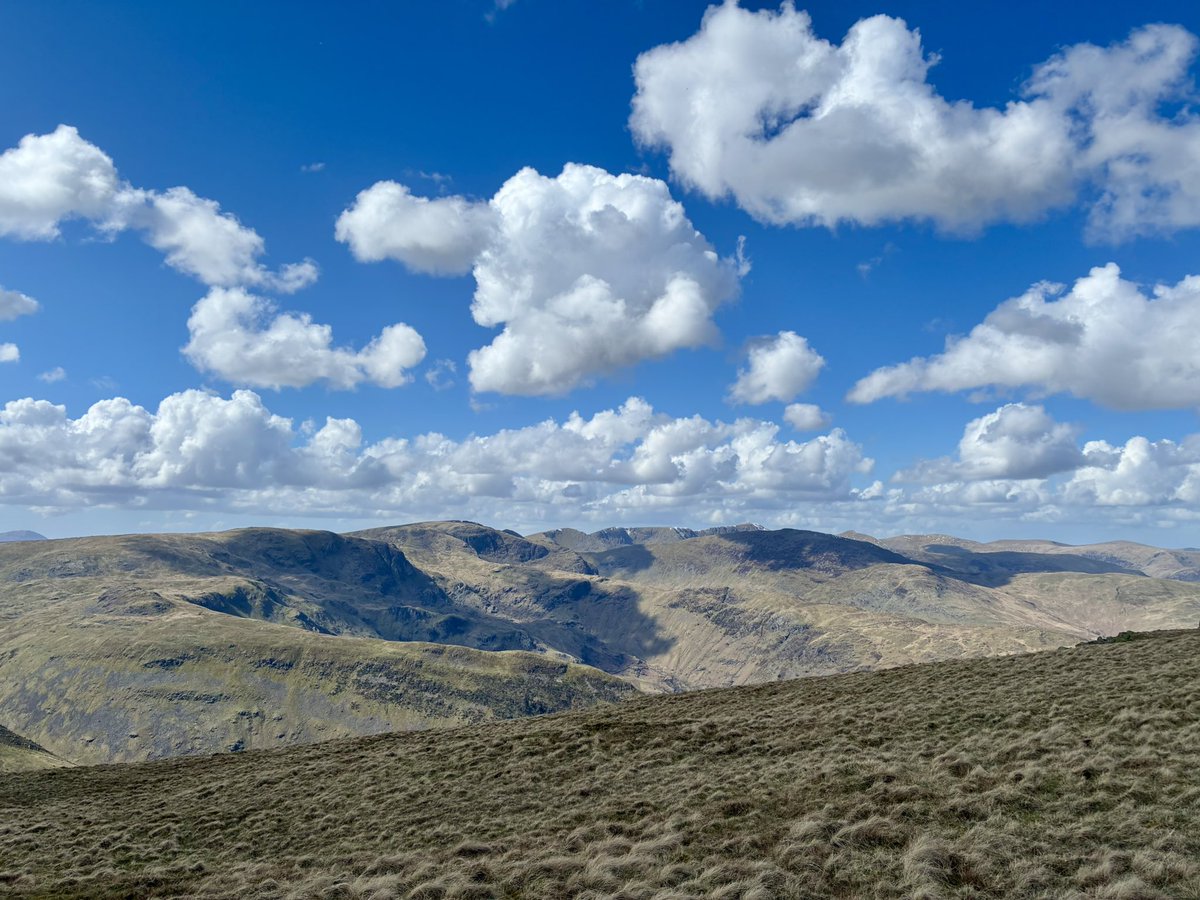 Doug Shulman tweet media