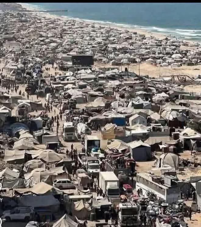 محمد بن أحمد الخالدي tweet media