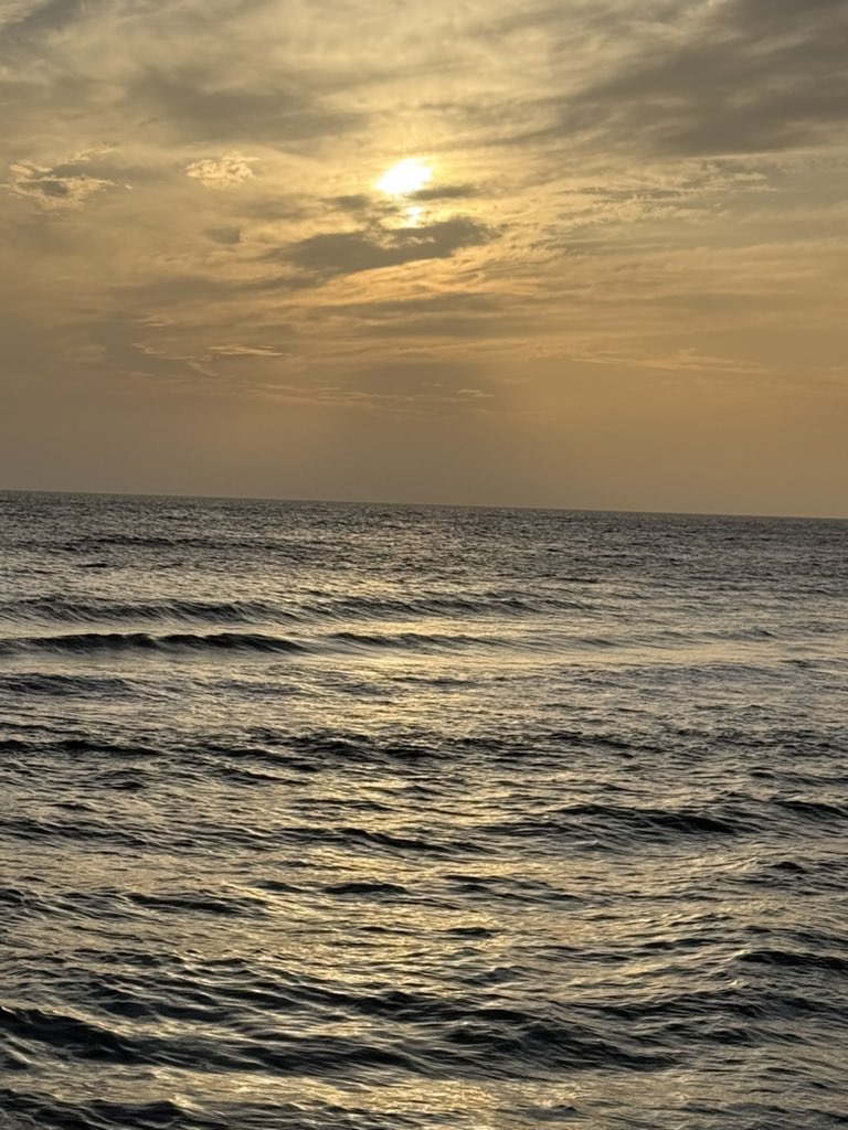 سلطان 🦅 tweet media