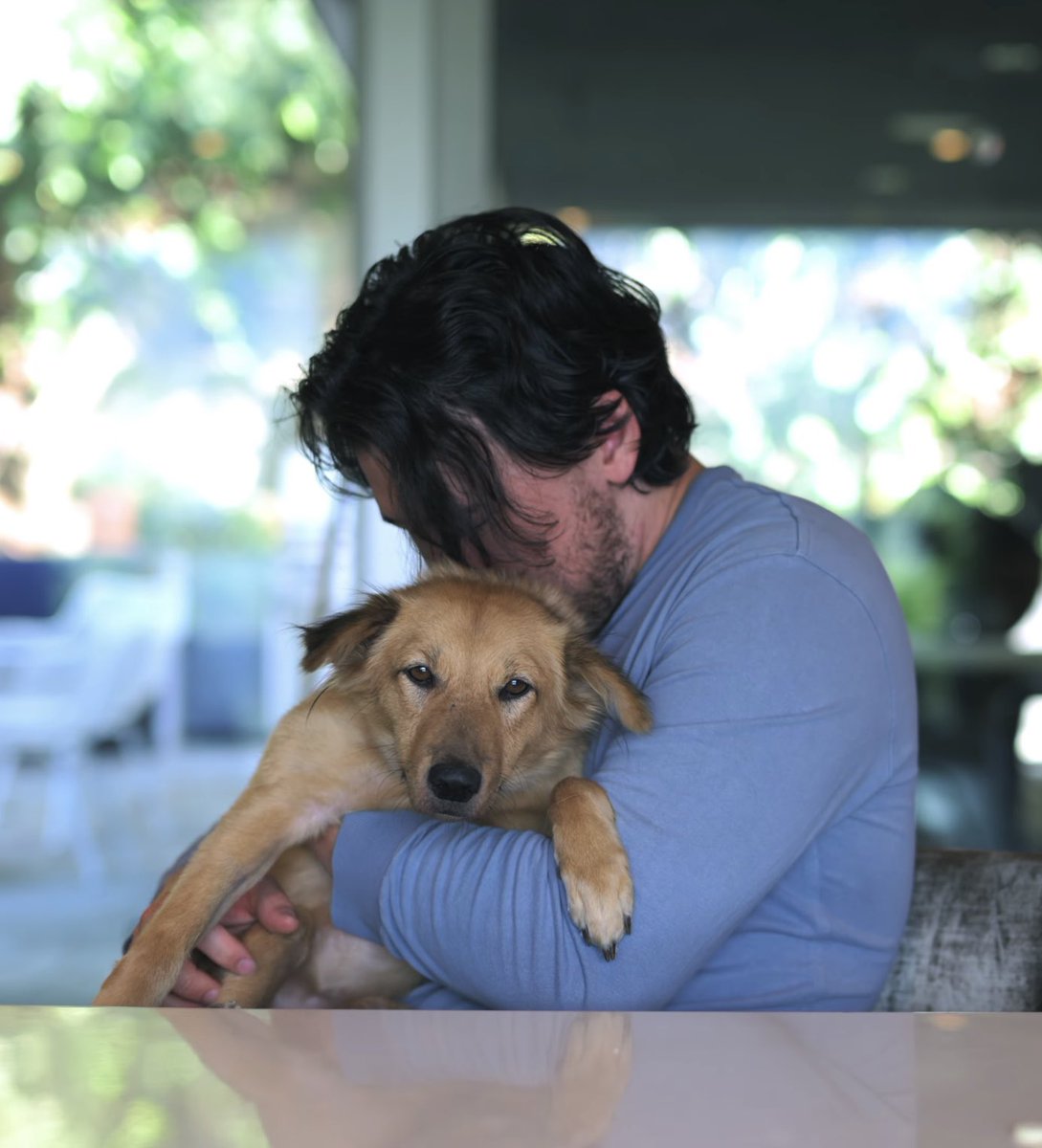 𝕖𝕝𝕤𝕚𝕖 ⋆⁺₊⋆ ☾ ⋆⁺₊⋆ ☁︎ tweet media