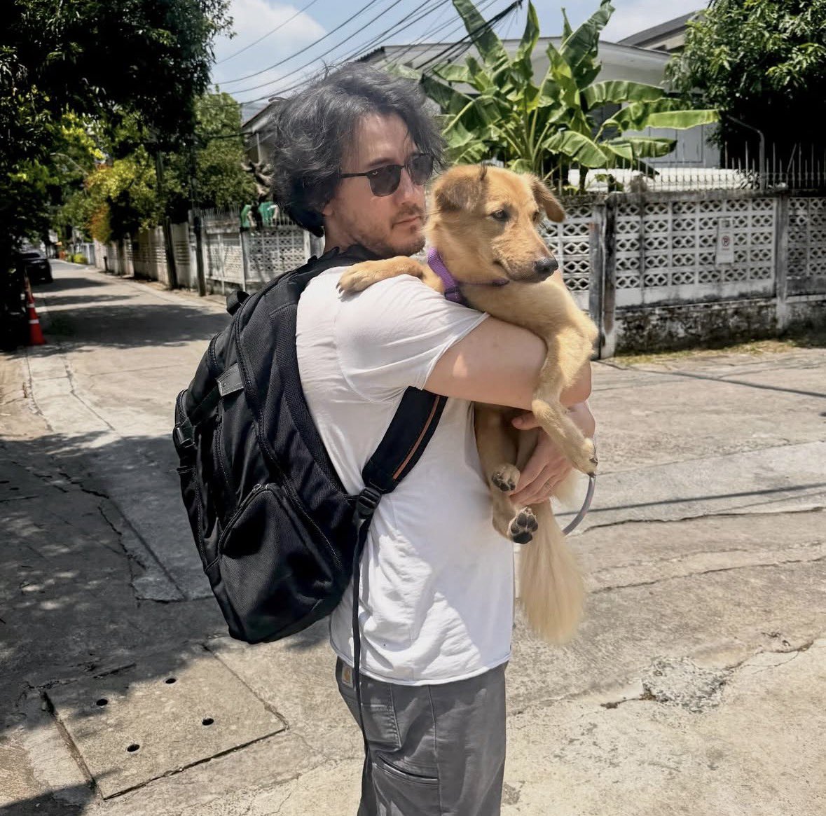 𝕖𝕝𝕤𝕚𝕖 ⋆⁺₊⋆ ☾ ⋆⁺₊⋆ ☁︎ tweet media