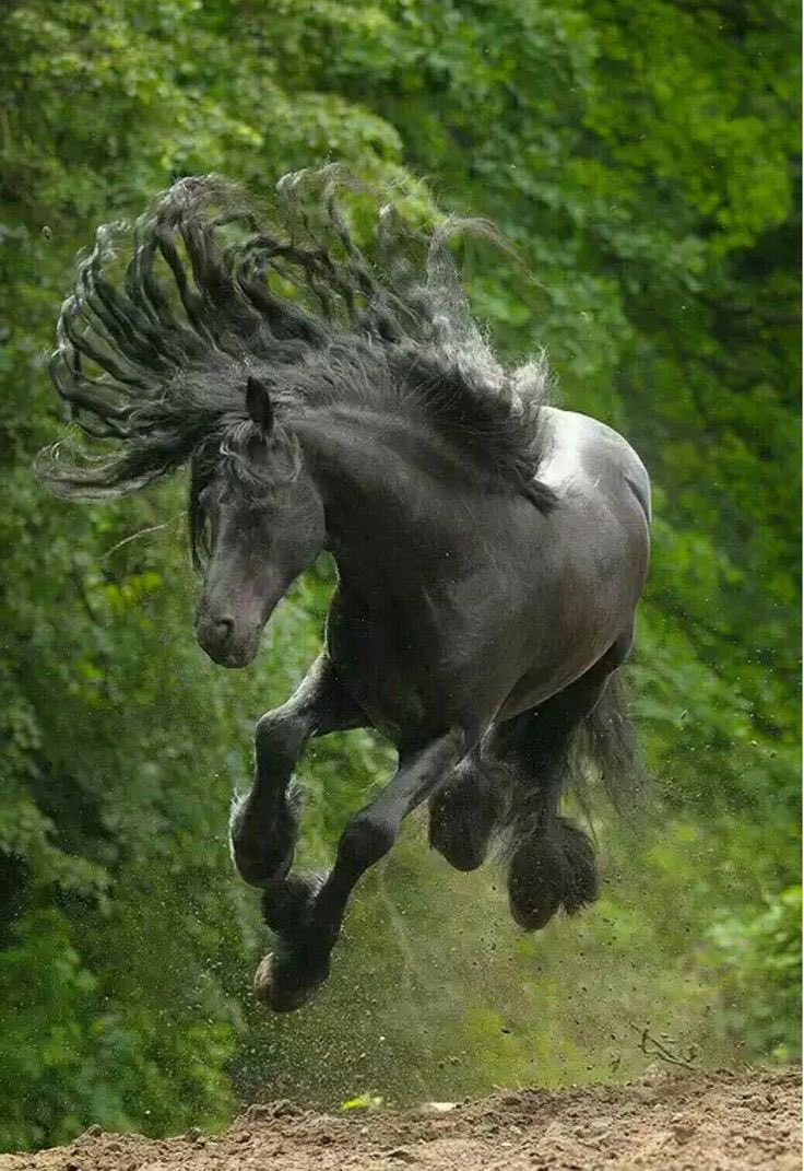 Estoy en esta ….. 

Prefiero frenar locos antes que empujar boludos.

Vivimos en una época donde el éxito está idealizado, casi como una foto perfecta que pocos cuestionan. Pero vale preguntarse algo incómodo:
¿Quiénes escriben la historia? ¿Los “correctos” o los que se animan a