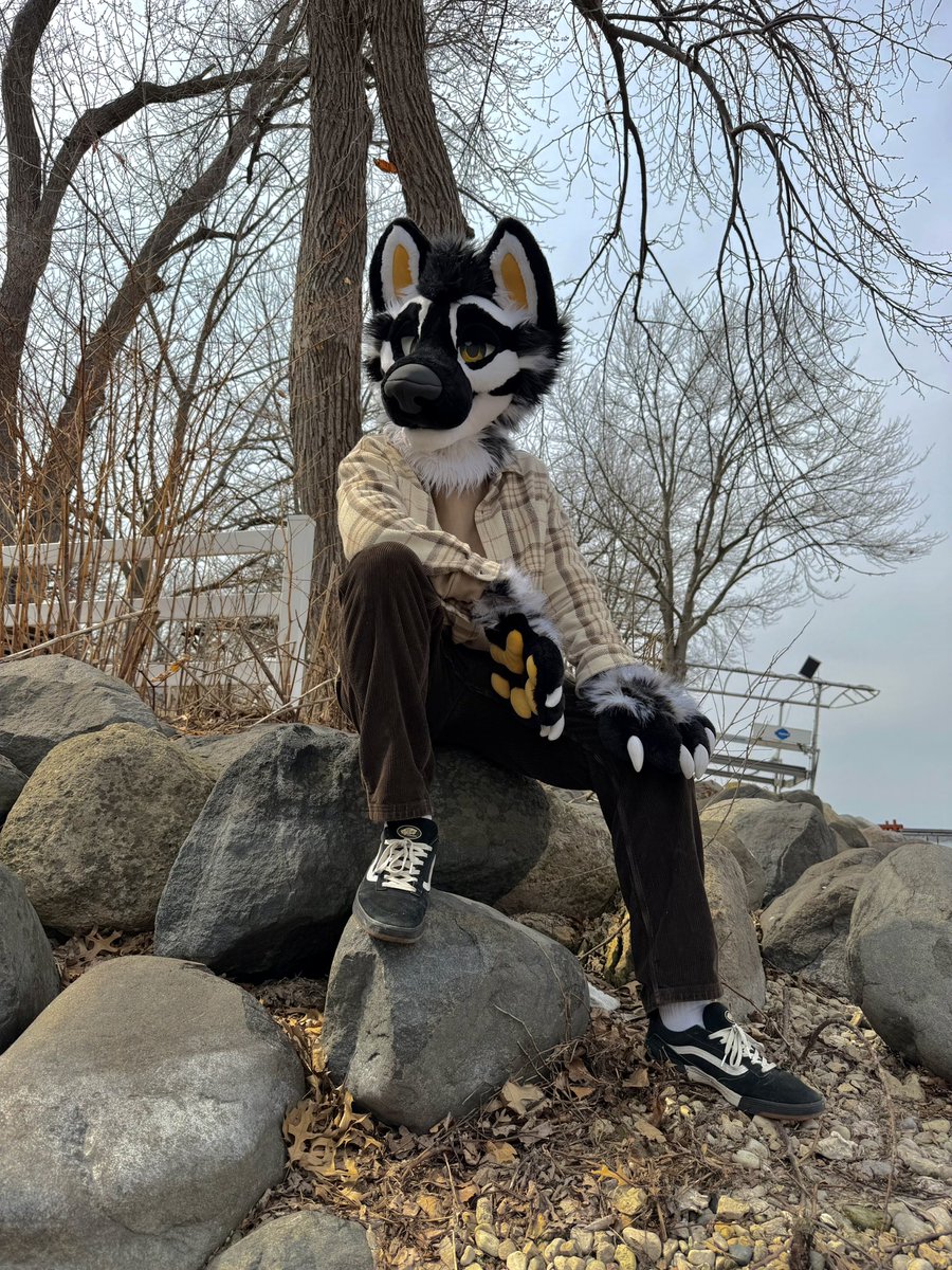 Tilly! 🔜 FWA tweet media