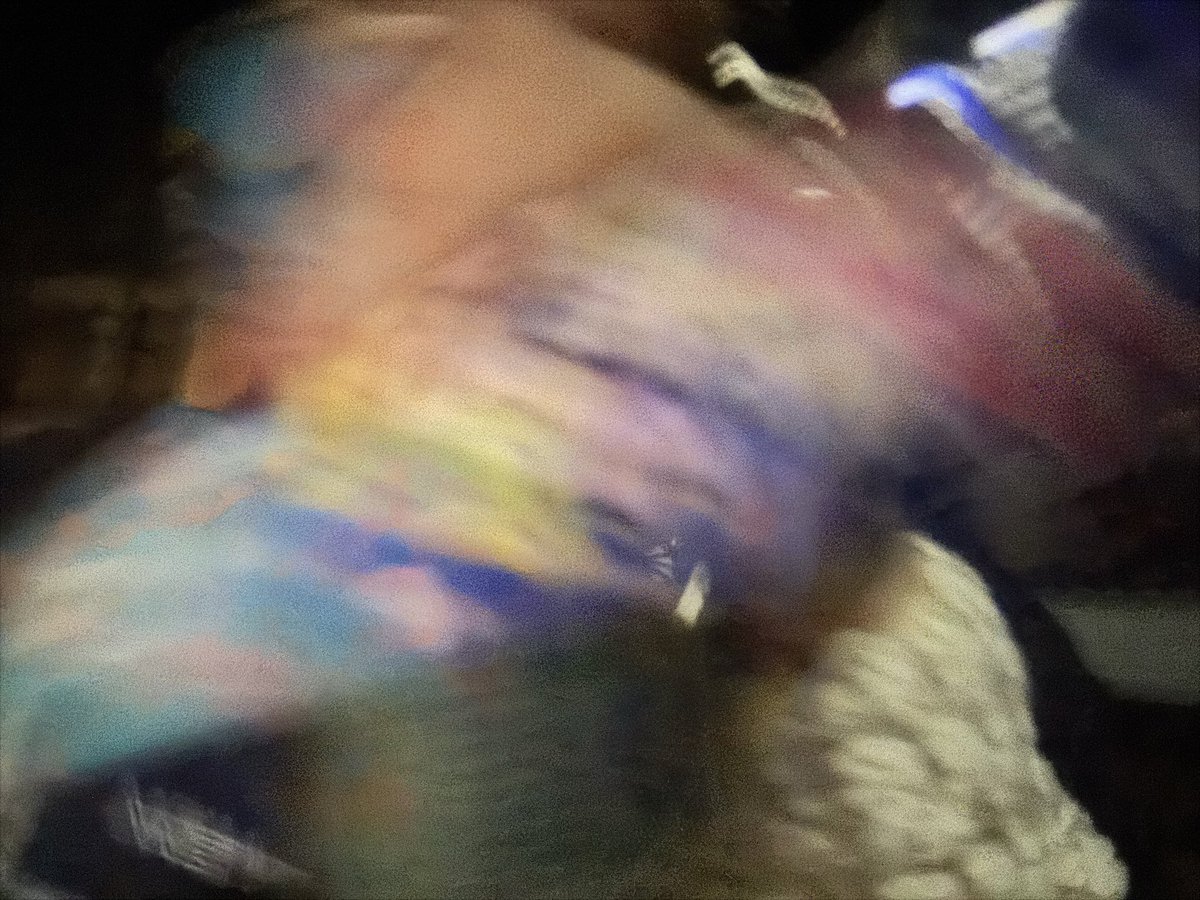 KIKOBAND tweet media