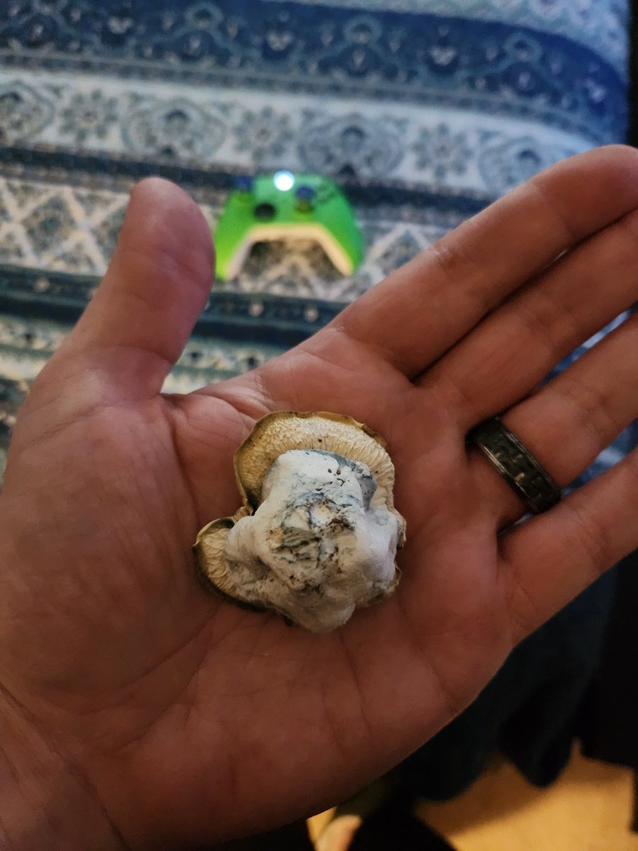 TeslaModel3P01's tweet photo. Like I said, this doesn't look like much but damn this thing is potent af. Wow. https://t.co/5faq35Tw0X
