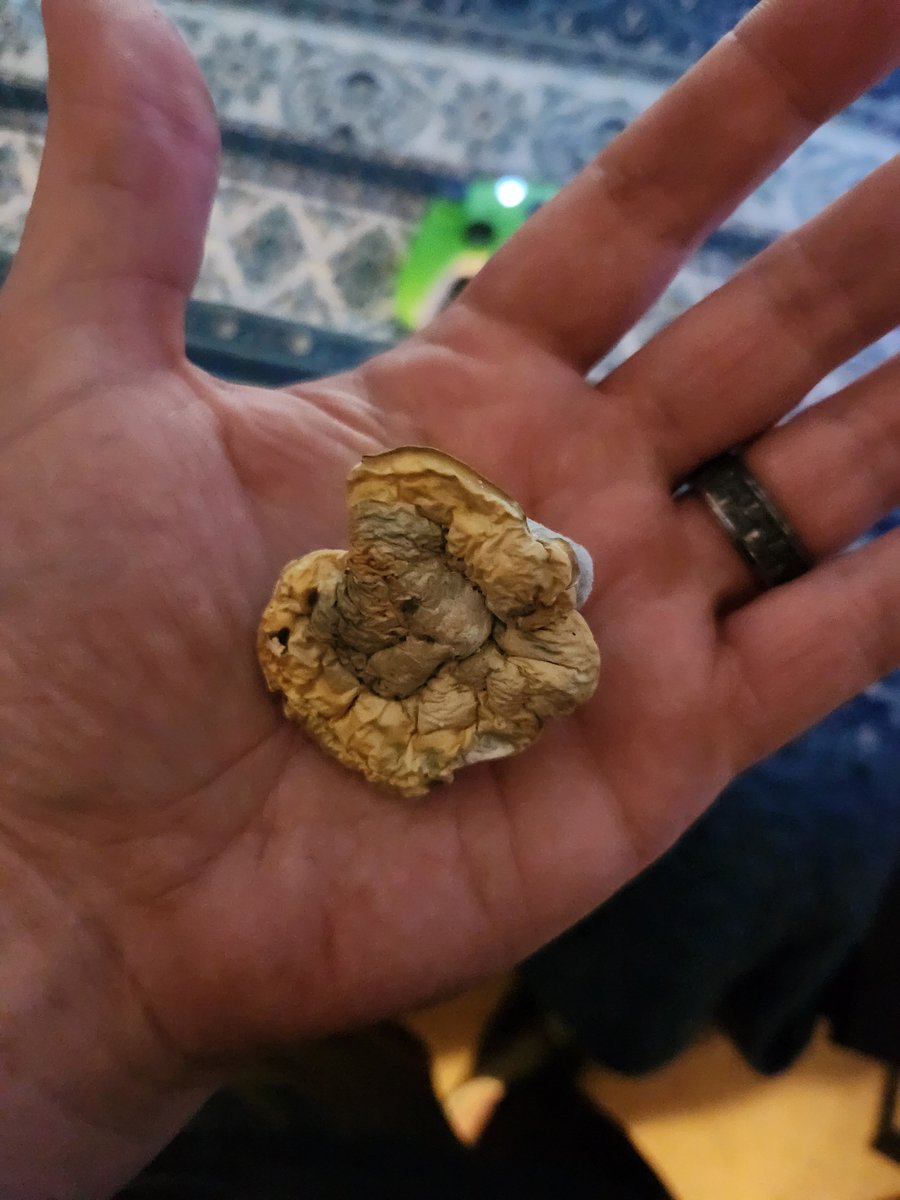 TeslaModel3P01's tweet photo. Like I said, this doesn't look like much but damn this thing is potent af. Wow. https://t.co/5faq35Tw0X