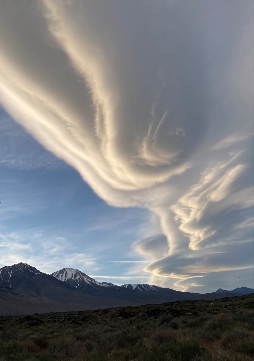wildcreativity's tweet image. Wild weather
wind whipped clouds
speed across the sky.

#haiku #naturephotography