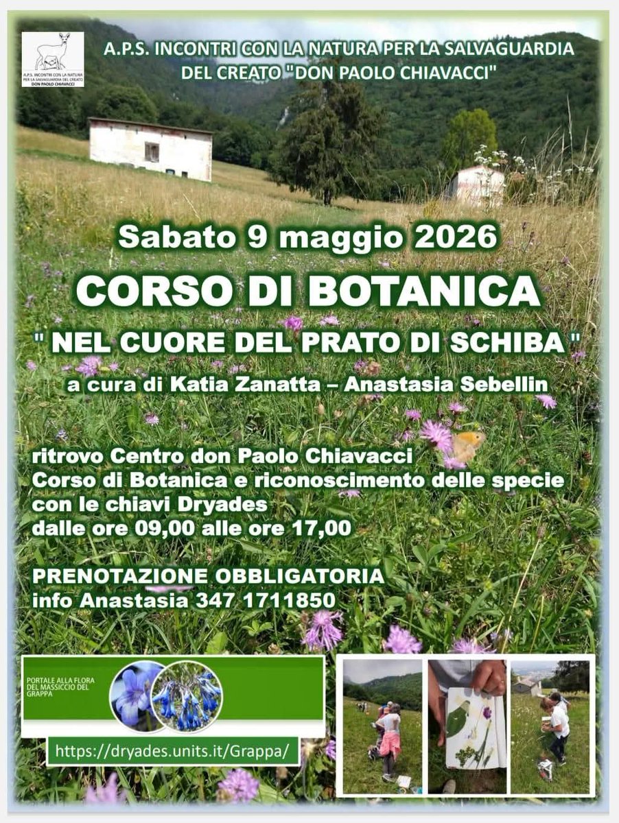 Loris Donazzon (@lorisdonazzon) on Twitter photo 