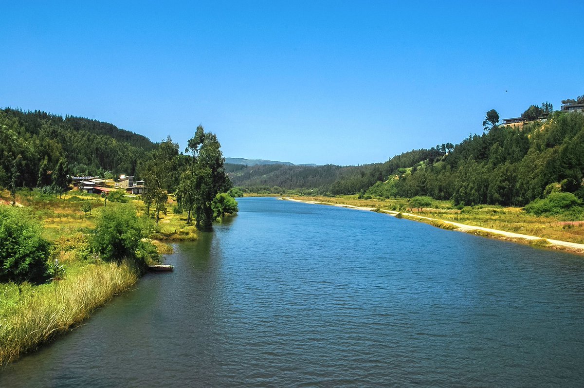 RedMaule tweet media