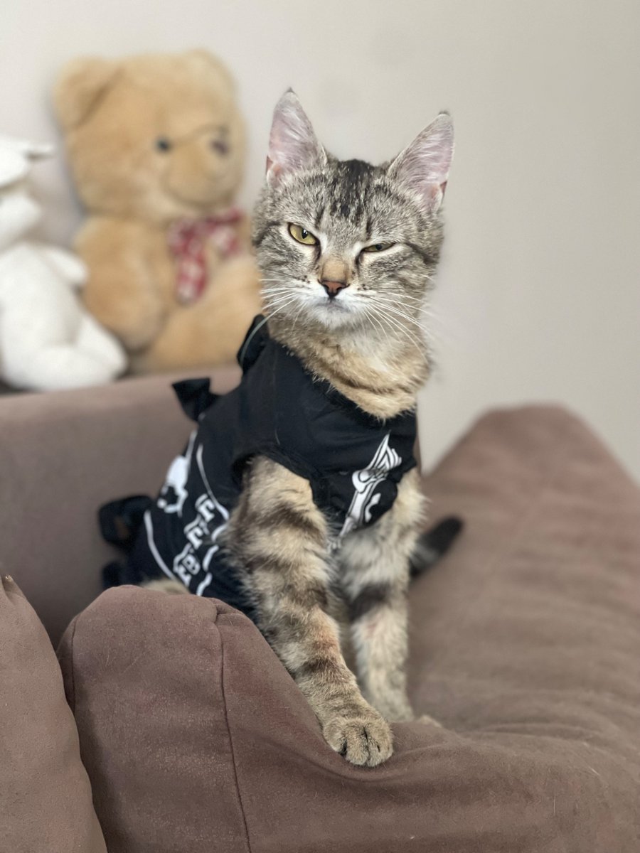 лівінгстон tweet media